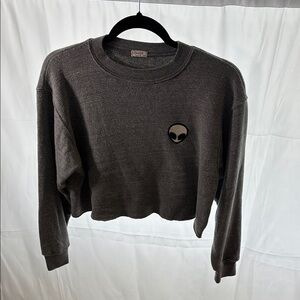 Brandy Melville Gray Crew Neck Sweater Cozy Cropped Style